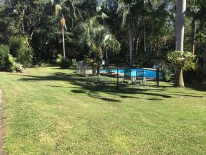a park with a swimming pool and palm trees at Buderim Fiesta Motel in Tanawha