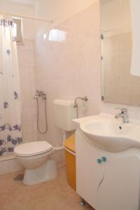 a bathroom with a toilet and a sink and a shower at Apartments by the sea Brna, Korcula - 4415 in Smokvica