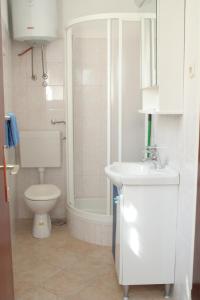 a bathroom with a toilet and a shower and a sink at Apartments by the sea Brna, Korcula - 4415 in Smokvica
