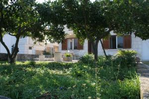 Zahrada ubytování Apartments by the sea Zrnovska Banja, Korcula - 4363