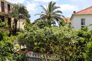 Zahrada ubytování Apartments with parking spaces Orebic, Peljesac - 4527