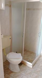 y baño con aseo y ducha. en Apartments by the sea Lumbarda, Korcula - 4402, en Lumbarda