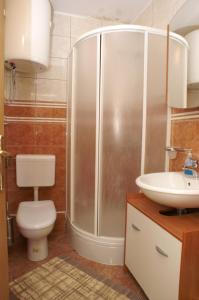 a bathroom with a shower and a toilet and a sink at Apartments by the sea Trstenik, Peljesac - 4511 in Trstenik