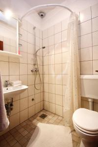 a bathroom with a shower and a toilet and a sink at Studio Orebic 4496d in Orebić