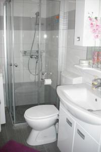 a bathroom with a shower and a toilet and a sink at Apartments by the sea Brna, Korcula - 4425 in Smokvica