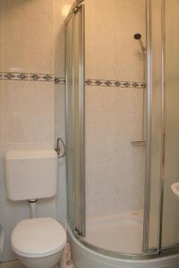 La salle de bains est pourvue de toilettes et d'une douche en verre. dans l'établissement Studio Korcula 4356a, à Korčula