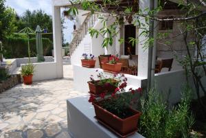 Zahrada ubytování Apartments with a parking space Zavalatica, Korcula - 4420