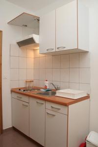Kuchyňa alebo kuchynka v ubytovaní Apartments with parking spaces Orebic, Peljesac - 4494