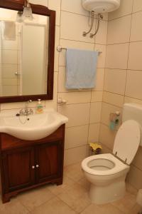 bagno con lavandino, servizi igienici e specchio di Apartment Vrboska 4601c a Vrboska (Verbosca)