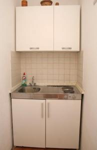 Kuchyň nebo kuchyňský kout v ubytování Apartments and rooms by the sea Orebic, Peljesac - 4553 + 54 fotografií