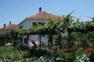 a garden in front of a white house at Apartments by the sea Sreser, Peljesac - 4557 in Janjina