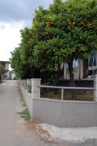 Fotografia z galérie ubytovania Apartments with a parking space Orebic, Peljesac - 4522 v destinácii Orebić