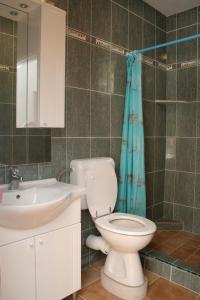 a bathroom with a toilet and a sink and a shower at Studio Mokalo 4495c in Orebić