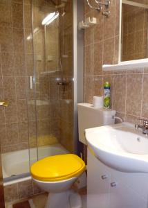 拉希什切的住宿－Apartments by the sea Racisce, Korcula - 4360，浴室设有黄色卫生间和水槽。