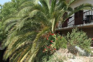 Fotografie z fotogalerie ubytování Apartments with a parking space Hvar - 4612 v destinaci Hvar