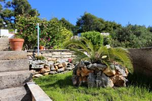 Vonkajšia záhrada v ubytovaní Apartments with a parking space Lumbarda, Korcula - 4418