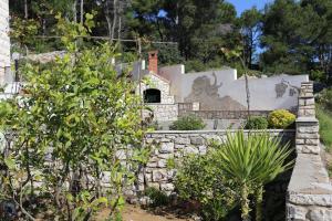 Vonkajšia záhrada v ubytovaní Apartments with a parking space Lumbarda, Korcula - 4418