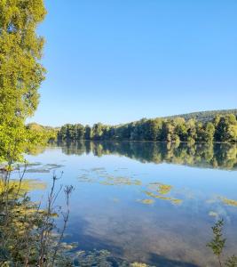 Vue sur un lac avec des arbres en arrière-plan dans l'établissement Citynahes Wohnen am Brenzpark, à Heidenheim an der Brenz