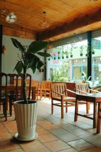 Restaurace v ubytování Ngoc Qui Bungalow