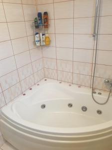 een badkamer met een bad en een douche bij Casa EDU in Avrig