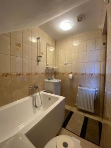 La salle de bains est pourvue d'une baignoire, de toilettes et d'un lavabo. dans l'établissement Casa Barkov, à Barcani