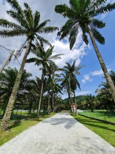 eine Straße mit Palmen an den Seiten in der Unterkunft Holistay Forest Villa I 34 Pax I Gathering I Team Building I Wedding in Hulu Yam Baharu