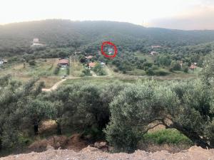 a red spot on top of a hill with trees at Anna’s Olive Grove in Ammouliani
