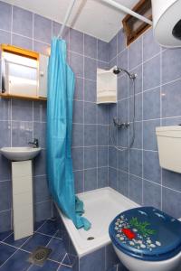 a bathroom with a shower and a toilet and a sink at Apartments with a parking space Sabunike, Zadar - 5822 in Privlaka