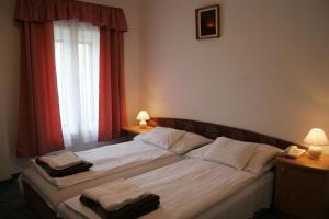 A bed or beds in a room at Sebesvi­z Panzió