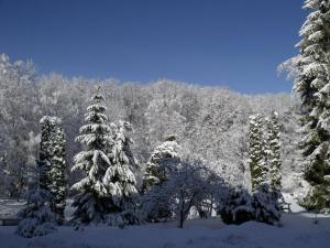 Sebesvi­z Panzió during the winter