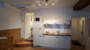 Kuchyň nebo kuchyňský kout v ubytování Hotel Domizil