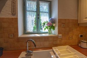 Kuchnia lub aneks kuchenny w obiekcie Spod Korit - Brgudac, Opatija with hot tub and free parking