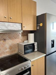 una cucina con forno a microonde e frigorifero di Karakonero view apartment a Città di Rodi