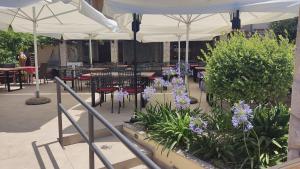 Zdjęcie z galerii obiektu Apartments by the sea Zaton, Zadar - 5923 w mieście Zaton +37 zdjęć
