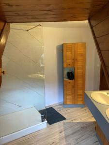 Montauban-de-LuchonにあるLUCHON Chalet 16 Couchageのバスルーム(ガラス張りのシャワー、シンク付)