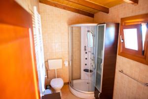 uma casa de banho com um chuveiro e um WC. em Sat de vacanta Ciprian Porumbescu em Suceava