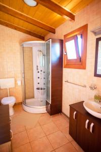 a bathroom with a shower and a toilet and a sink at Sat de vacanta Ciprian Porumbescu in Suceava