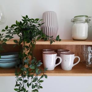 Gallery image of Kesterciems seaside apartment with terrace in Ķesterciems +9 photos