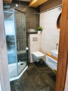 ヴィスワにあるMALINOWA OSADAのバスルーム(シャワー、トイレ、シンク付)
