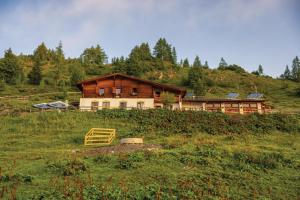 a house on top of a hill in a field at Carina's Apartment in Obsteig