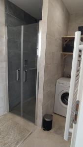 łazienka z prysznicem i pralką w obiekcie Les Bosquets JOLY w mieście Montauroux