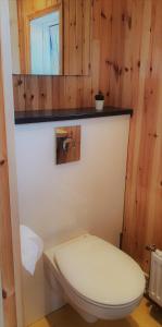 a white toilet in a bathroom with wooden walls at Tiny and cosy house in the countryside in Hella