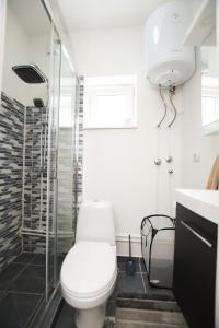 a bathroom with a toilet and a shower at Relax Apartmani Rooms in Kladovo