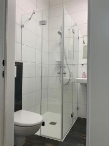 a bathroom with a glass shower with a toilet at Apetlon`er Familie Böhm in Apetlon