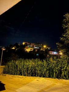 a field of corn at night with buildings in the background at a peaceful holiday in a village environment in İyidere