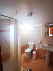 a bathroom with a toilet and a sink at Kalypso apartment in Halki