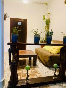 a living room with a table and potted plants at ILLIYIN Boutique Hotel in Dakar