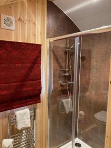 uma casa de banho com um chuveiro e uma cabina de duche em vidro. em Bedrule Old Manse Glamping em Hawick
