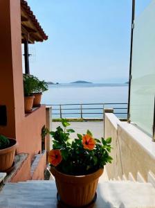 uma planta em vasos sentada numa varanda com vista para o oceano em Seaside Apartment in Glyfada-Trizonia em Glyfada Fokidas