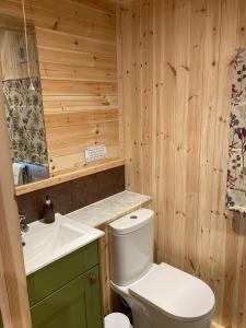 uma casa de banho com um WC branco e um lavatório. em Bedrule Old Manse Glamping em Hawick